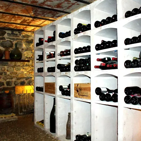 Nuit De Legende En Beaujolais * Lantignie