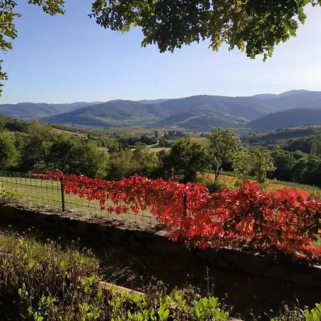 Nuit De Legende En Beaujolais Guest house Lantignie